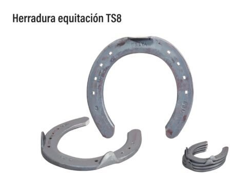 Herradura equitación ts8