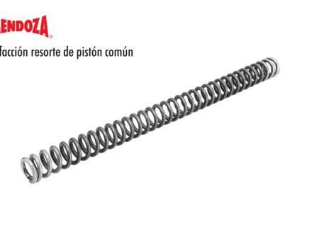 Refacción resorte de piston común