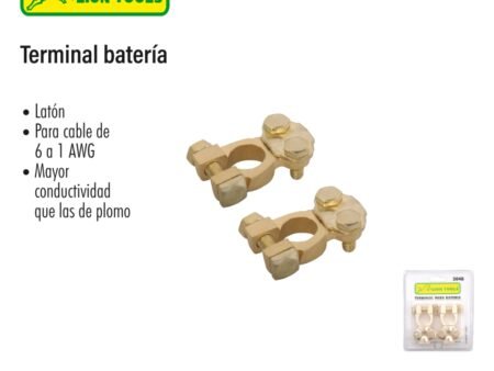 Terminal bateria