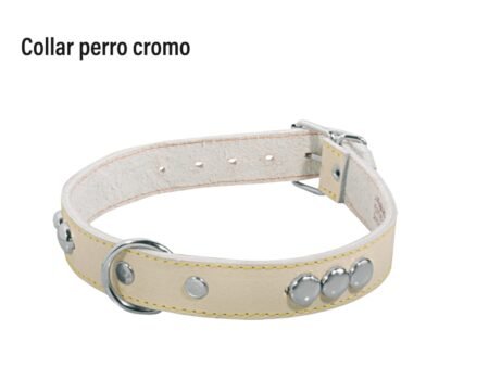 Collar perro cromo