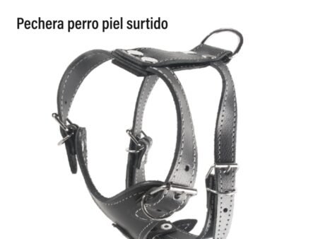 Pechera perro piel surtido
