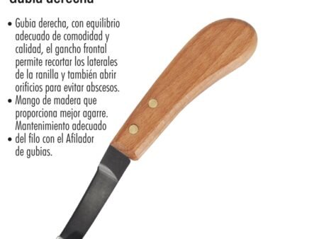 Gubia derecha