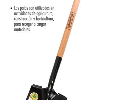 Pala redonda