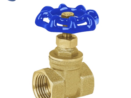 Válvula compuerta 3/4″
