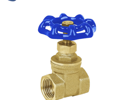 Válvula compuerta 1/2″