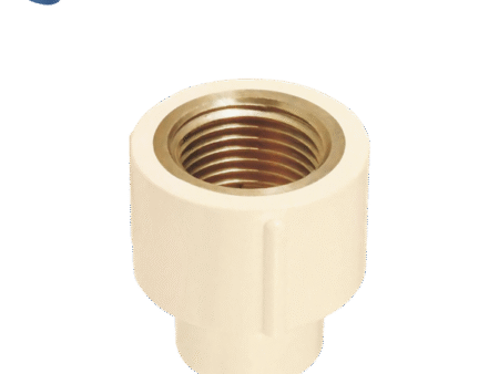 Adaptador hembra con inserto de latón 3/4″